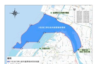 大肚溪口保護區再升級！　中市府與彰縣府聯手公告保護區新範圍