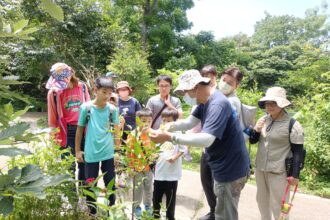 2025大坑蝶螢嘉年華締造跨國感動　日本博士生親證台灣紫斑蝶魅力