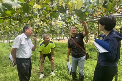 台中市優質葡萄永續領鮮市級評鑑結果揭曉　農友王坤達勇奪五星獎殊榮