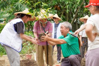 新莊少年中心青銀童樂會　到牡丹心社區和長輩種咖啡樹　彩繪咖啡杯