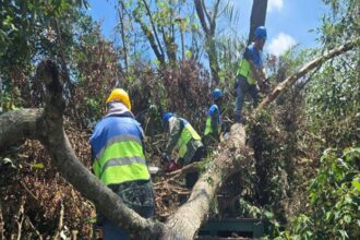 確保遊客安全　蘭潭後山步道延後開放至8月中旬評估