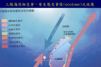 臺灣魚類學研究重要回顧　承先啟後、百年積累　打造臺灣與世界的連結