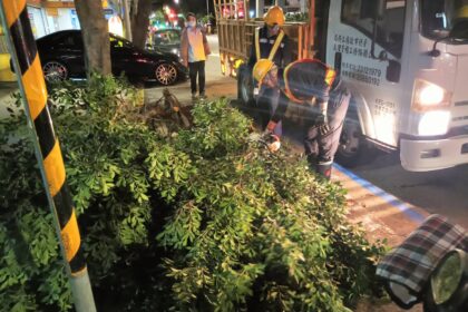 有牌的樹木修容師　專業剪刀手晴雨出任務