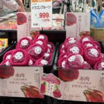 高雄紅龍果首度進軍日本市場！ 攜手關西最大批發商登上13家連鎖超市舉辦試吃活動