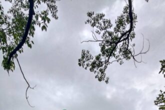 親子放電新地標！內湖石潭公園7米高鱷魚遊戲塔萌翻登場