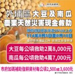 中市外埔區大豆及南瓜災損 　8/18前可申請現金救助
