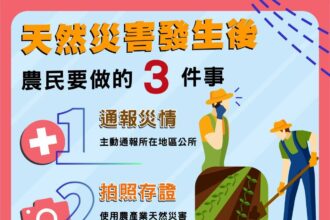 豪雨過後注意病害防治　中市府呼籲農友儘速復耕並依限申請救助