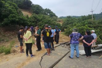 霧峰暗坑巷因豪雨崩塌　水利局緊急搶修便道助農民採收龍眼