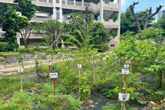 從樹苗到森林　中市教師共同打造淨零綠校園藍圖