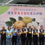 農友曾瑞東勇奪寶島甘露梨王！　台中市寶島甘露梨果品評鑑結果揭曉