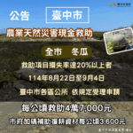 中市冬瓜災損 9/4前可申請現金救助