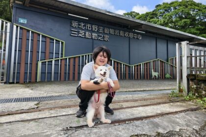 躲過路殺危險　流浪毛寶貝阿吉與新北動保員共譜生命故事