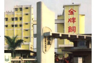 興泰炒股案定讞　福懋油爆操盤疑雲　吳金泉風暴未歇