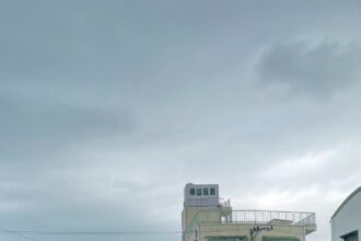 嘉市議員戴寧詐領助理費判關5年半　8/19入監　嘉檢啟動防逃