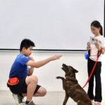 來台中市動物之家陪毛孩FUN一夏！　2025療癒犬夏令營登場　