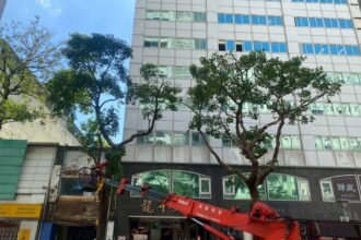 北市公園處啟動防颱機制　完成楊柳颱風防災整備