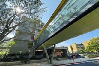 雙基地雙黃金！新和國小全校區綠建築認證達標