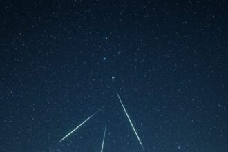 百顆流星雨夏季浪漫來襲　高雄觀光圈推薦同學農場璀璨星光秀