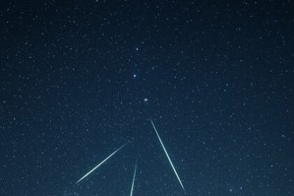 百顆流星雨夏季浪漫來襲　高雄觀光圈推薦同學農場璀璨星光秀