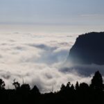 阿里山賓館推鐵道秘境   山村小旅行套裝遊程