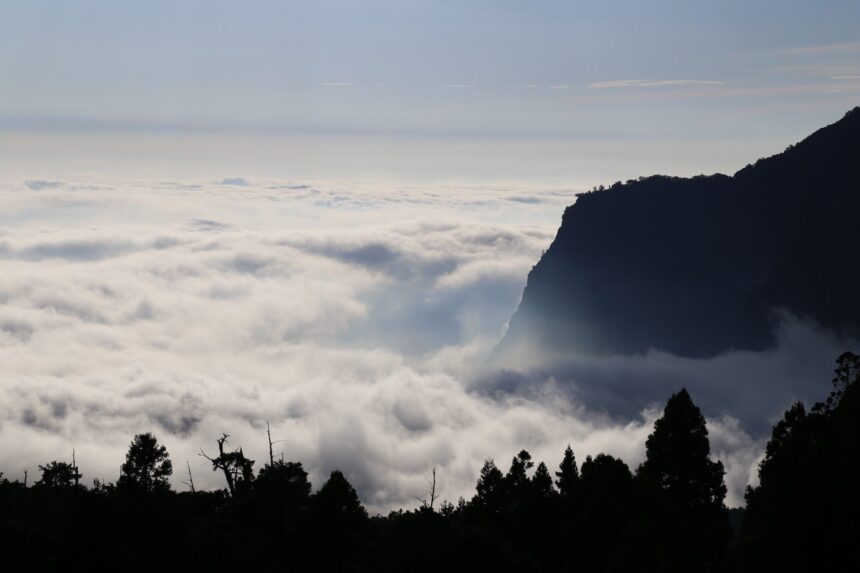 阿里山賓館推鐵道秘境   山村小旅行套裝遊程