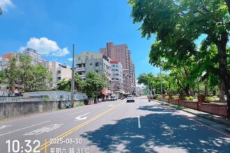 嘉義市府駁斥倒樹未清理謠言　已報警追查假消息來源