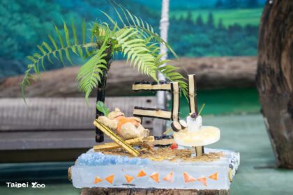 圓圓21歲生日快樂！ 保育員獻上「海灘風冰蛋糕」萌翻全場