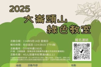 尋找芬多精與森林密碼　大崙頭山週末限定綠色體驗