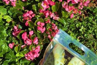 北市環保局9/1開放線上申領　6千份有機質肥料限量