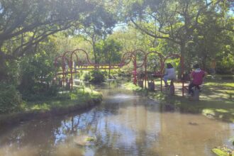 大安森林公園活水飛輪　運動健身兼顧生態教育新亮點