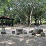 低碳中秋「無煙團聚」　中市府推賞月賞景取代傳統烤肉