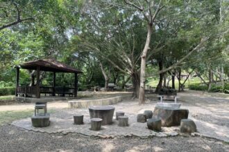 低碳中秋「無煙團聚」　中市府推賞月賞景取代傳統烤肉