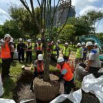 產官學力挺創新！　首次導入「空氣盆」 中央公園全樹型示範移種植觀摩獲好評
