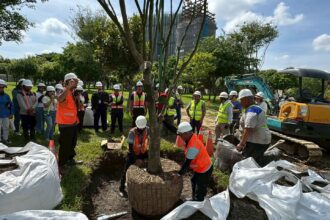 產官學力挺創新！　首次導入「空氣盆」 中央公園全樹型示範移種植觀摩獲好評