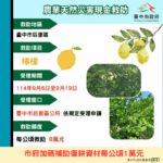 中市后里區檸檬災損 　9/19前可申請現金救助