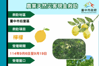 中市后里區檸檬災損 　9/19前可申請現金救助