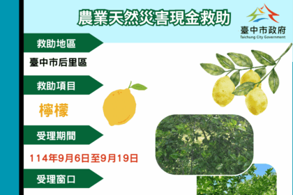 中市后里區檸檬災損 　9/19前可申請現金救助
