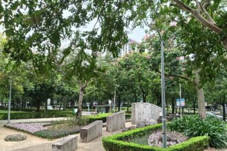 花草多感體驗　林森公園打造綠植角落