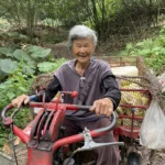 全村最年長筍農！雲林91歲曾阿嬤的「超狂」日常：凌晨開搬運車上山採筍