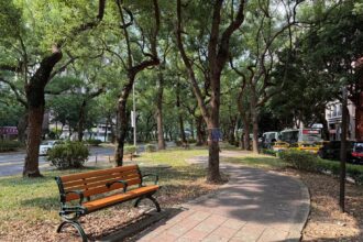 降溫3度！北市仁愛路「天然冷氣房」真相大公開