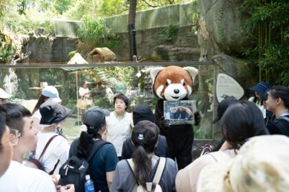 國際小貓熊日　相約北市動物園守護紅精靈