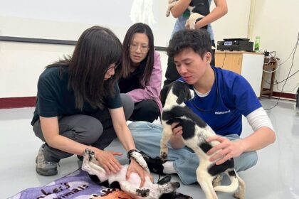 大家一起毛起來學「狗語」！高市動保處暑期訓犬課程圓滿落幕　助飼主及毛孩同步升級吸引超過200人次參與