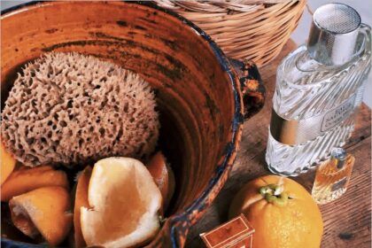 ISSA佛手柑溯源研習會　探索佛手柑的黃金氣味