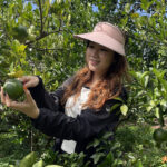 台南 津-南寮椪柑觀光果園 採摘青皮椪柑 台南 津-南寮椪柑觀光果園 採摘青皮椪柑