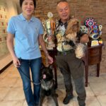 台灣出生狼犬Dino進軍世界盃　西北訓犬學苑：要做就做最好的