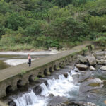 2025新北好茶 坪林茶香低碳遊 特等茶會之旅