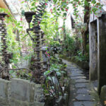 嘉義阿里山 阿將的家23咖啡館 秘境石頭屋咖啡館 身心靈的休憩地