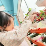 【科技小農夫】農業處推動智慧農業向下扎根　越港國小師生於雲林智慧教育中心迎來「莓」好豐收成果