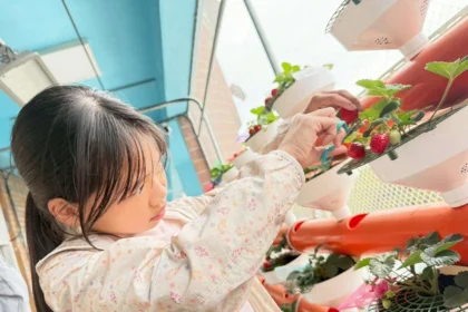 【科技小農夫】農業處推動智慧農業向下扎根　越港國小師生於雲林智慧教育中心迎來「莓」好豐收成果