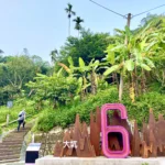 馬年行大運！　大坑步道特色滿點 登頂保證「龍馬」精神